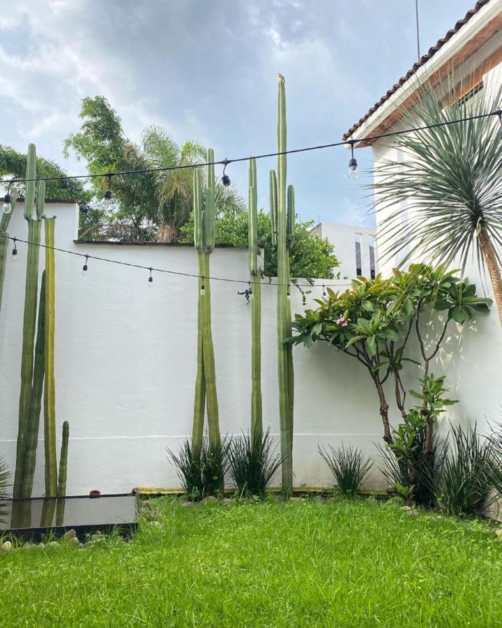 Casa Mayo B&B Oaxaca 外观 照片