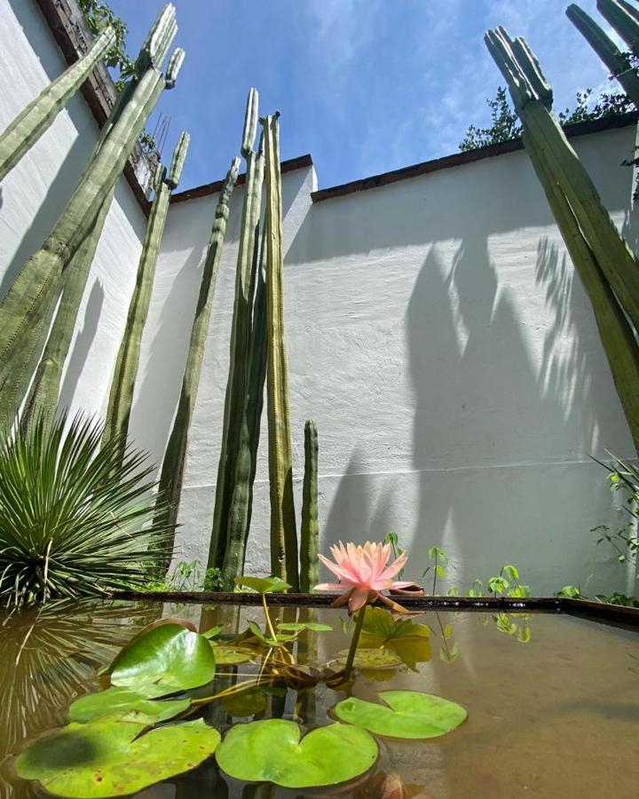 Casa Mayo B&B Oaxaca 外观 照片