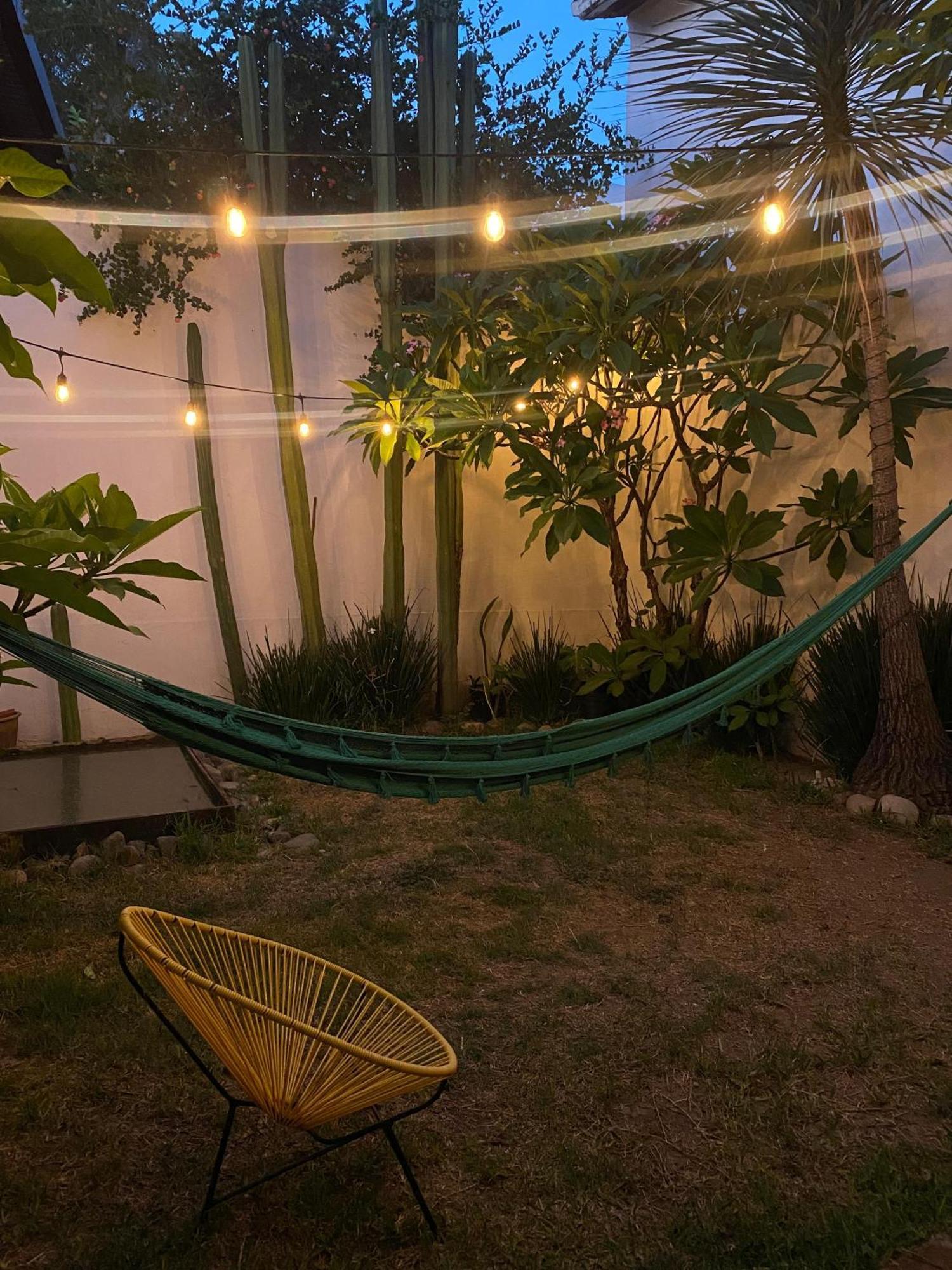 Casa Mayo B&B Oaxaca 外观 照片